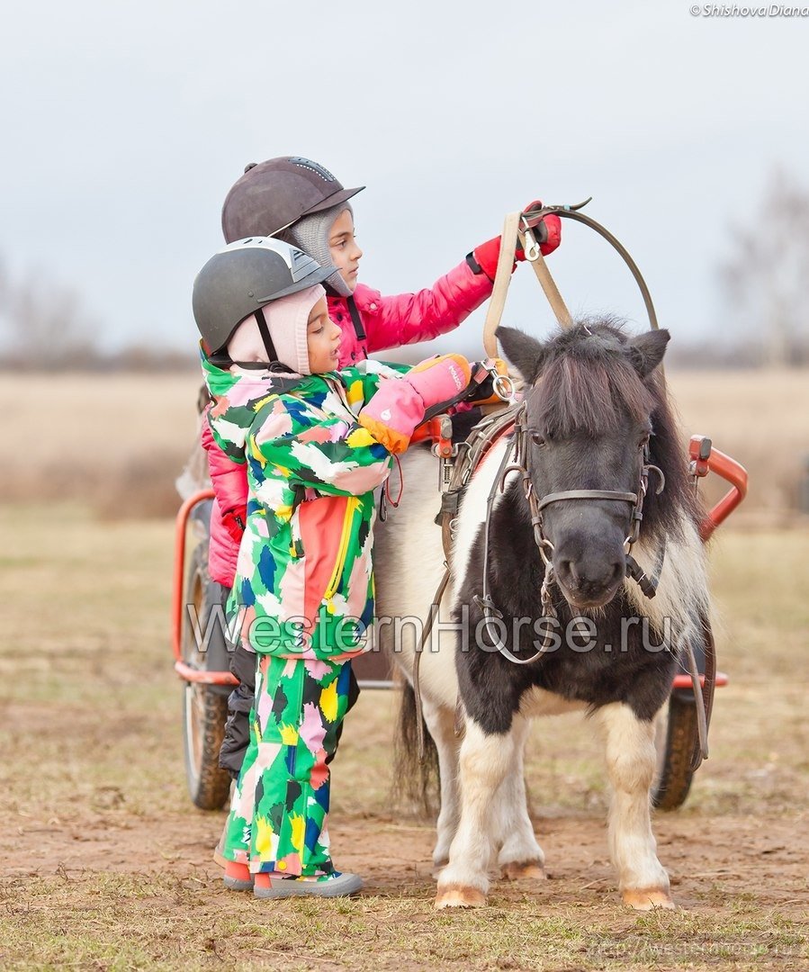Фото сделано нами.  Фото сделано нами. 27