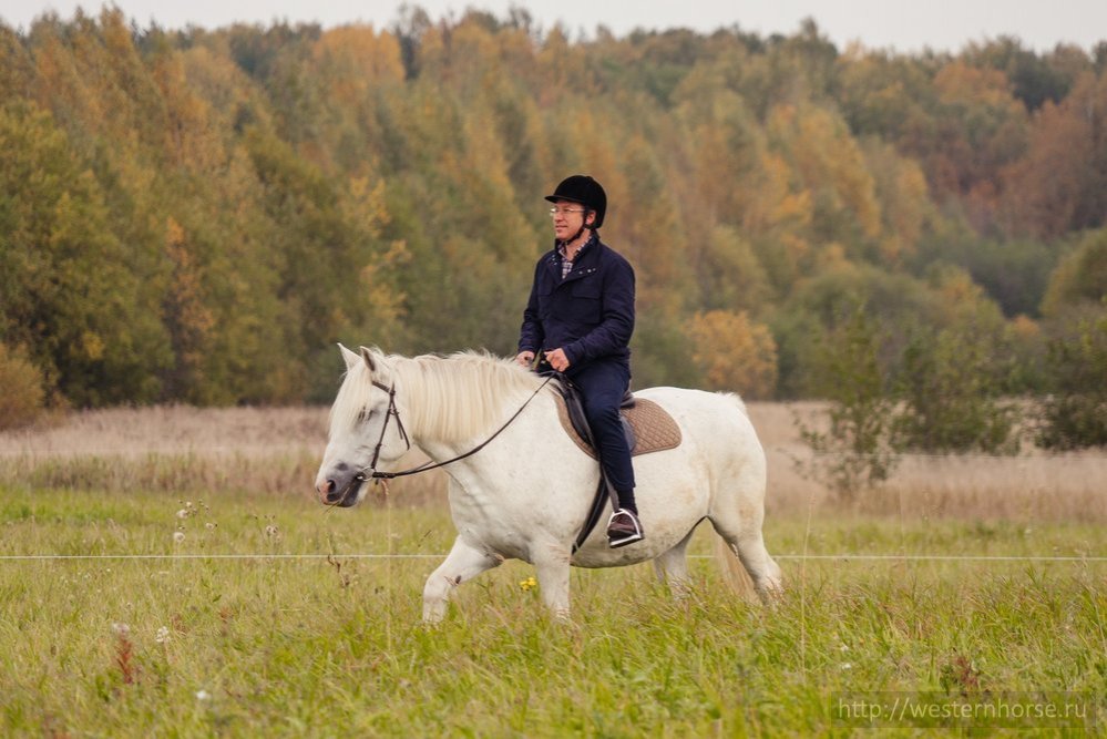 Фото сделано нами.  Фото сделано нами. DSC06417