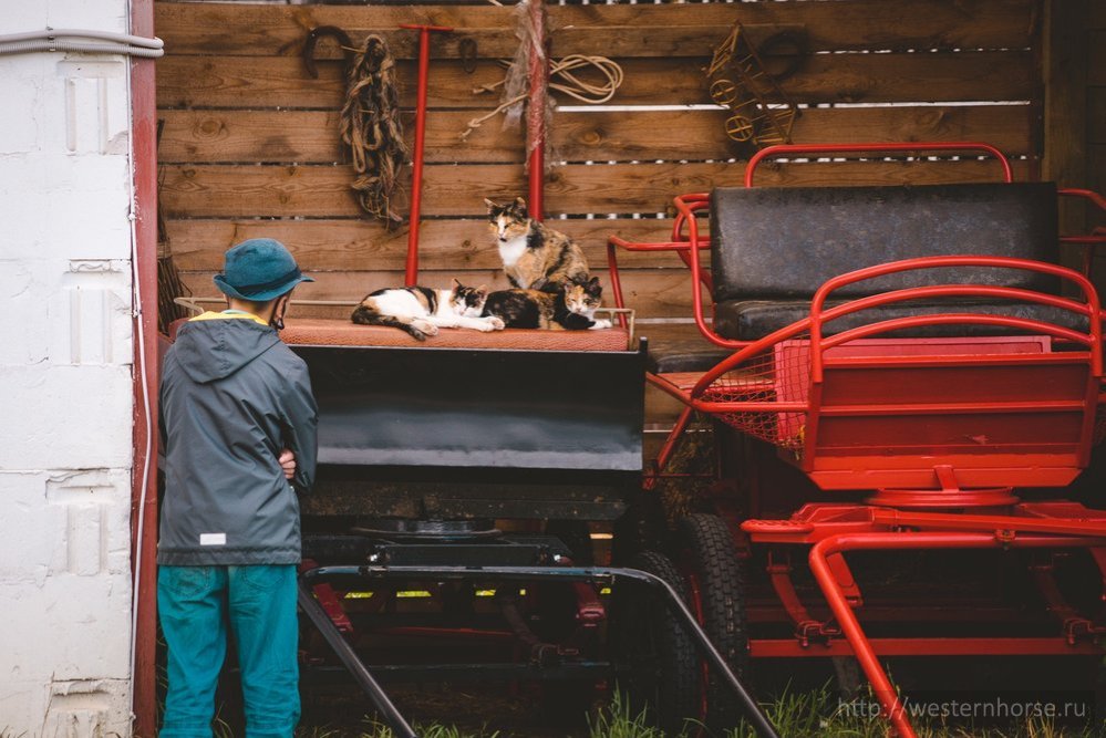 Фото сделано нами.  Фото сделано нами. DSC08893