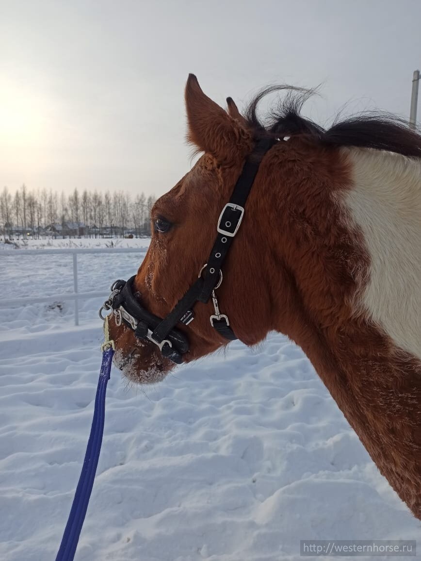 Фото сделано нами.  Фото сделано нами. VFktv6aD0FM