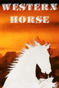 Конный клуб Western Horse Конный клуб Western Horse